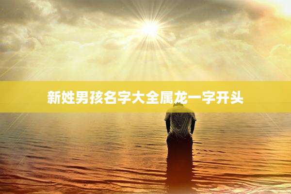 新姓男孩名字大全属龙一字开头
