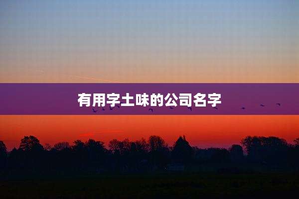 有用字土味的公司名字