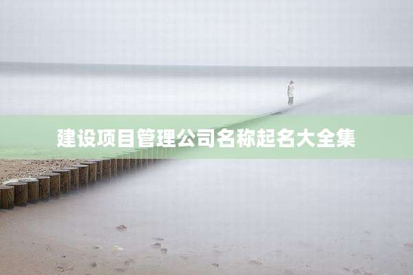建设项目管理公司名称起名大全集