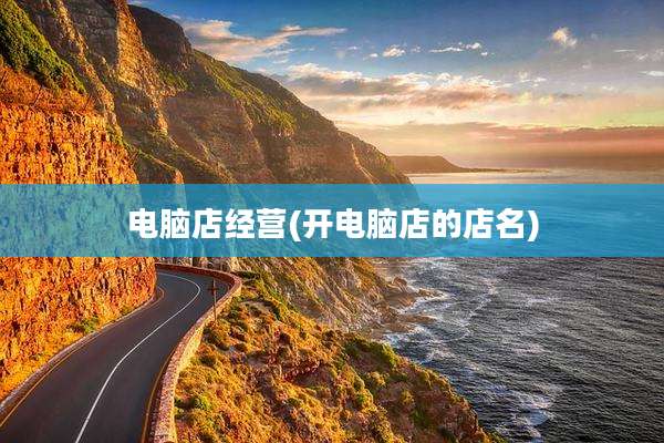 电脑店经营(开电脑店的店名)