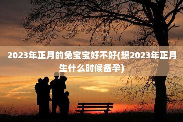 2023年正月的兔宝宝好不好(想2023年正月生什么时候备孕)