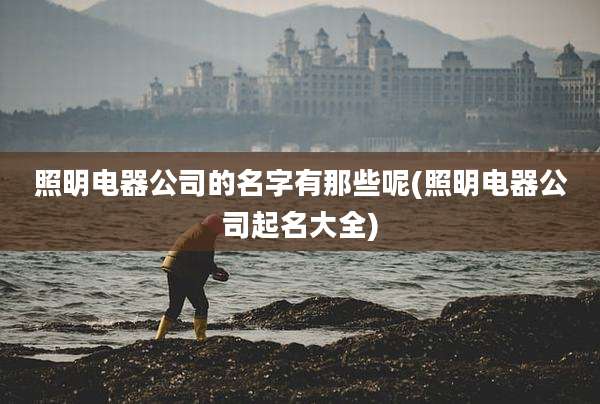 照明电器公司的名字有那些呢(照明电器公司起名大全)