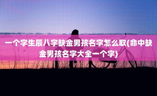 一个字生辰八字缺金男孩名字怎么取(命中缺金男孩名字大全一个字)