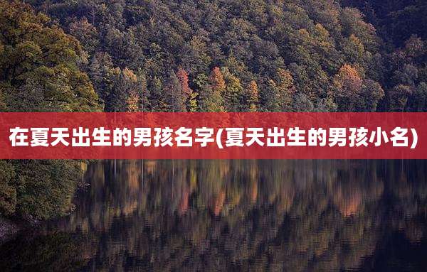 在夏天出生的男孩名字(夏天出生的男孩小名)