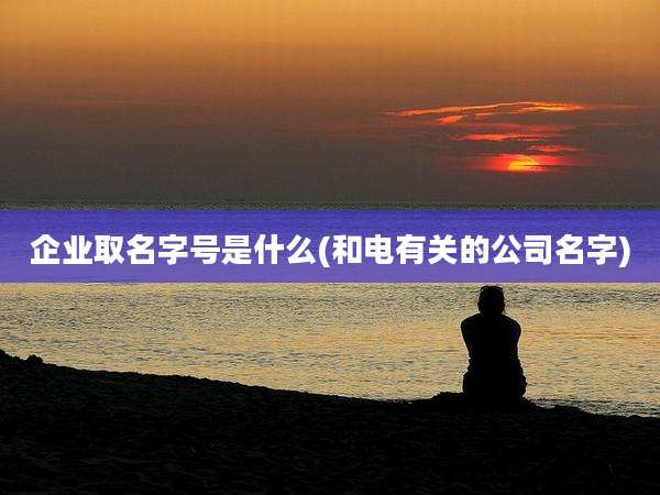 企业取名字号是什么(和电有关的公司名字)