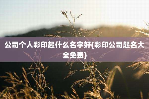 公司个人彩印起什么名字好(彩印公司起名大全免费)