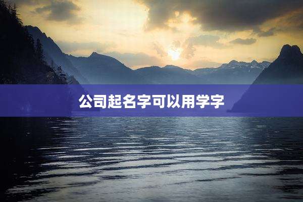 公司起名字可以用学字