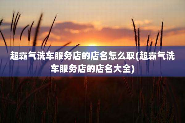 超霸气洗车服务店的店名怎么取(超霸气洗车服务店的店名大全)