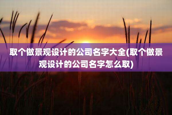 取个做景观设计的公司名字大全(取个做景观设计的公司名字怎么取)