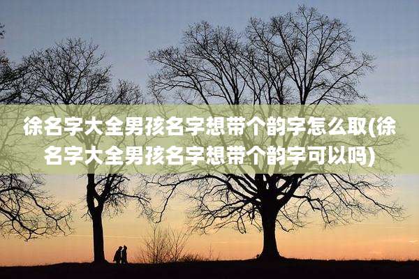徐名字大全男孩名字想带个韵字怎么取(徐名字大全男孩名字想带个韵字可以吗)