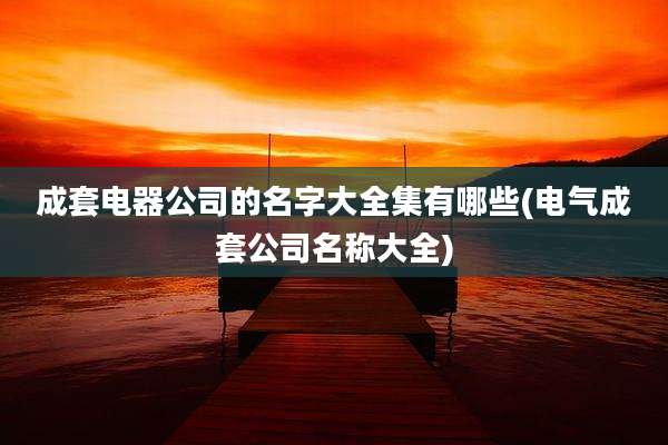 成套电器公司的名字大全集有哪些(电气成套公司名称大全)