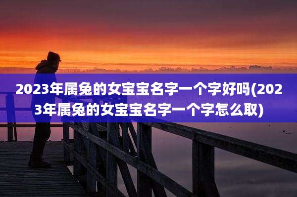 2023年属兔的女宝宝名字一个字好吗(2023年属兔的女宝宝名字一个字怎么取)