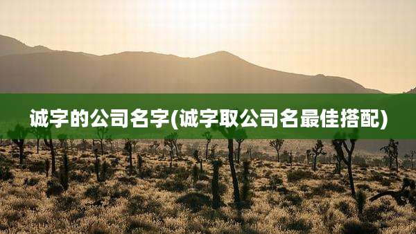 诚字的公司名字(诚字取公司名最佳搭配)