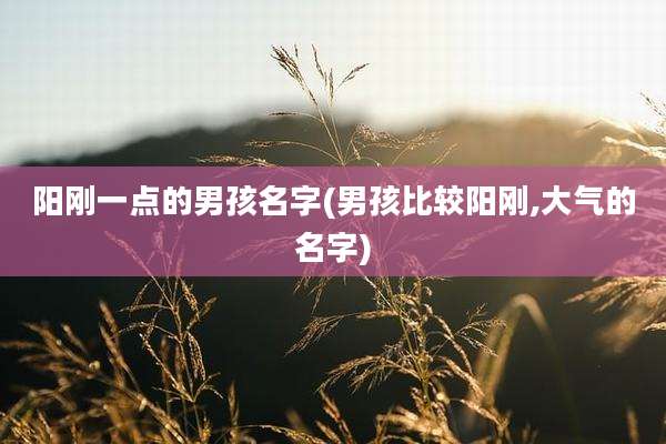 阳刚一点的男孩名字(男孩比较阳刚,大气的名字)