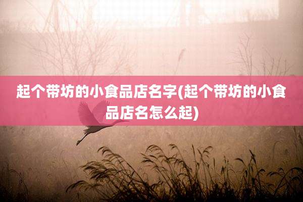 起个带坊的小食品店名字(起个带坊的小食品店名怎么起)