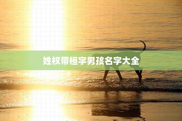 姓权带桓字男孩名字大全
