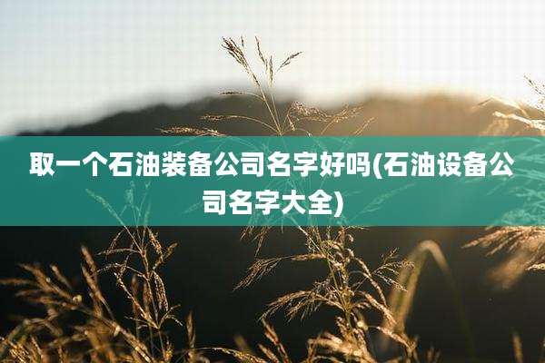取一个石油装备公司名字好吗(石油设备公司名字大全)