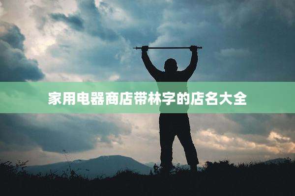 家用电器商店带林字的店名大全