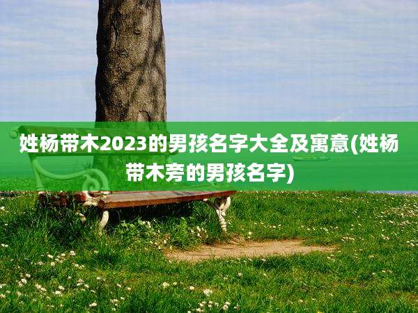姓杨带木2023的男孩名字大全及寓意(姓杨带木旁的男孩名字)