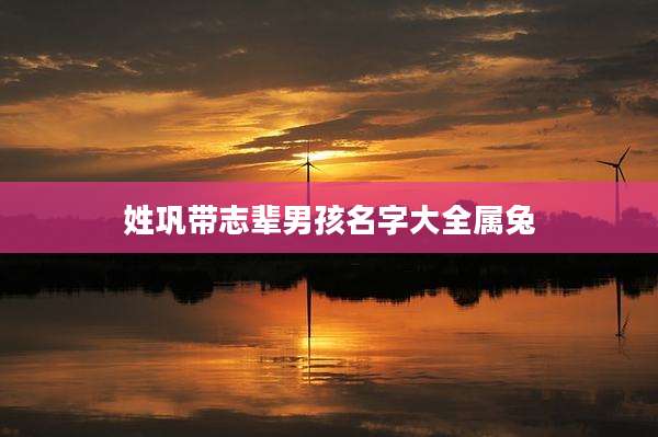 姓巩带志辈男孩名字大全属兔
