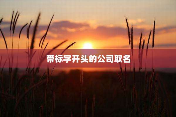 带标字开头的公司取名