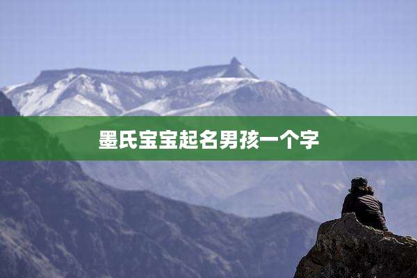 墨氏宝宝起名男孩一个字