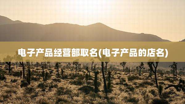 电子产品经营部取名(电子产品的店名)