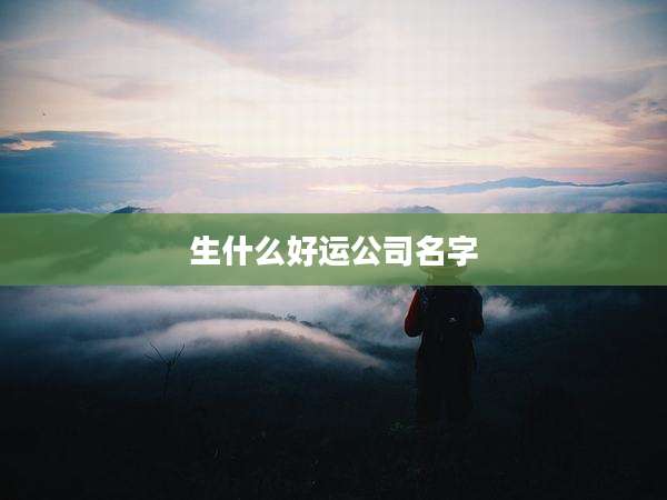 生什么好运公司名字