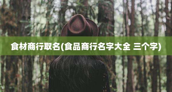 食材商行取名(食品商行名字大全 三个字)