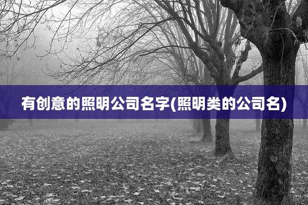 有创意的照明公司名字(照明类的公司名)