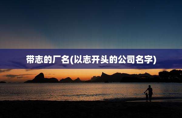 带志的厂名(以志开头的公司名字)