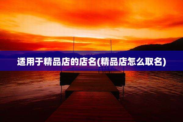 适用于精品店的店名(精品店怎么取名)