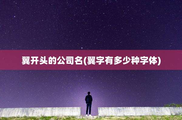 翼开头的公司名(翼字有多少种字体)