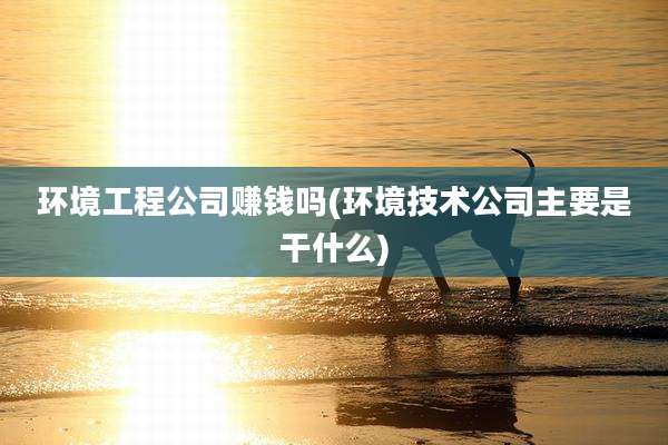 环境工程公司赚钱吗(环境技术公司主要是干什么)
