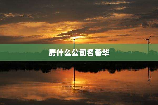 房什么公司名奢华