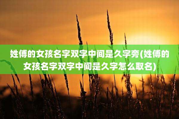 姓傅的女孩名字双字中间是久字旁(姓傅的女孩名字双字中间是久字怎么取名)