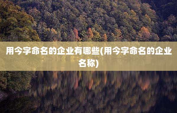 用今字命名的企业有哪些(用今字命名的企业名称)