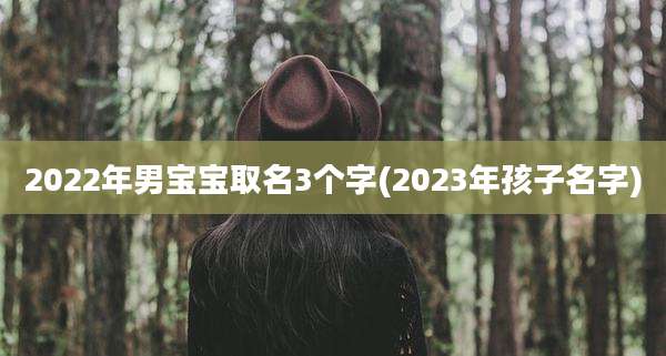 2022年男宝宝取名3个字(2023年孩子名字)