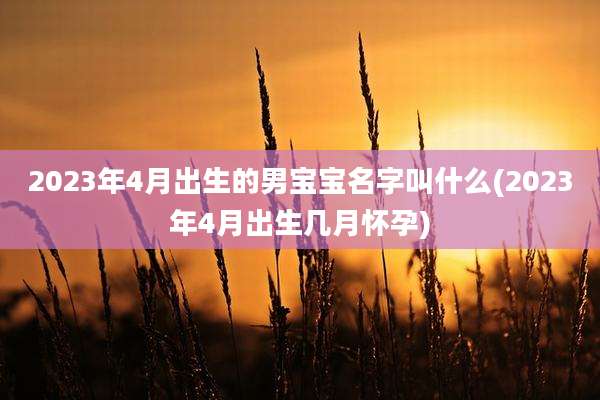2023年4月出生的男宝宝名字叫什么(2023年4月出生几月怀孕)