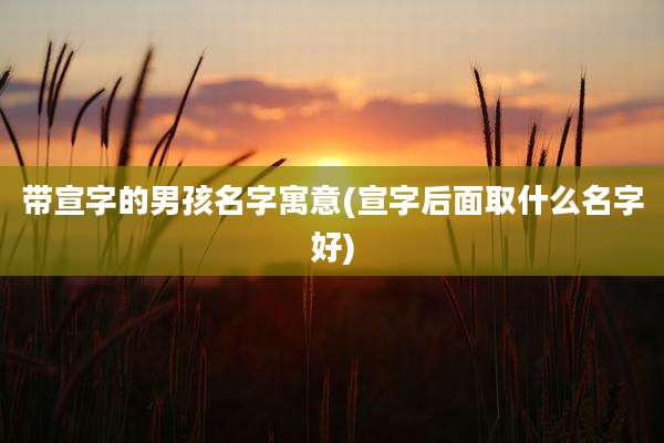 带宣字的男孩名字寓意(宣字后面取什么名字好)