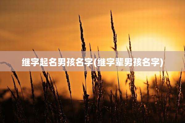 继字起名男孩名字(继字辈男孩名字)
