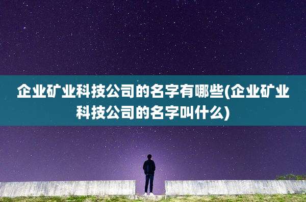 企业矿业科技公司的名字有哪些(企业矿业科技公司的名字叫什么)