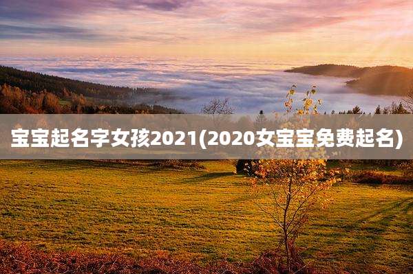 宝宝起名字女孩2021(2020女宝宝免费起名)