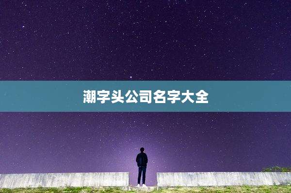 潮字头公司名字大全