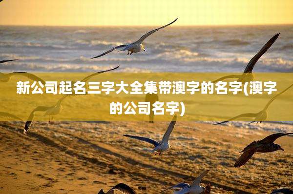 新公司起名三字大全集带澳字的名字(澳字的公司名字)