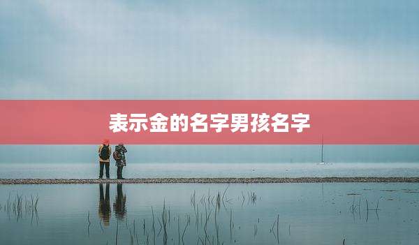 表示金的名字男孩名字