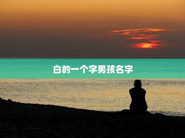 白的一个字男孩名字