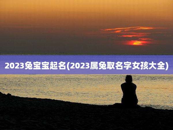 2023兔宝宝起名(2023属兔取名字女孩大全)
