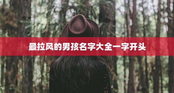 最拉风的男孩名字大全一字开头