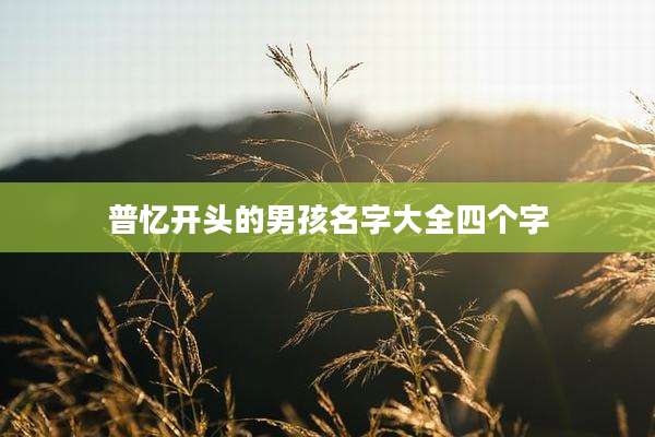 普忆开头的男孩名字大全四个字